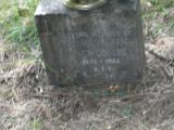image of grave number 561923